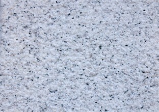 1734354338921231.jpg 222.jpg